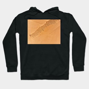 Desert aerial view Hoodie